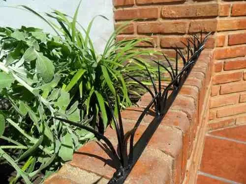 Pinches de Seguridad instalados